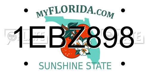 1EBZ898 Florida License Plate