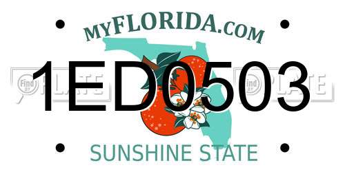 1ED0503 Florida License Plate