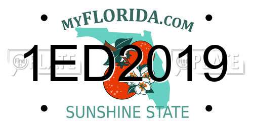 1ED2019 Florida License Plate