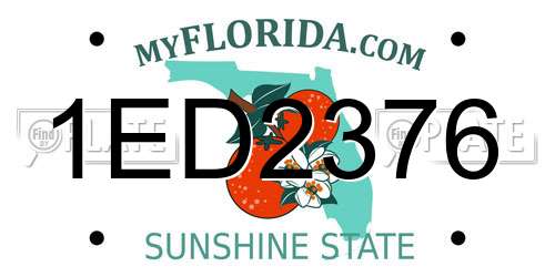 1ED2376 Florida License Plate
