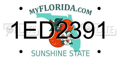 1ED2391 Florida License Plate