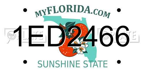 1ED2466 Florida License Plate