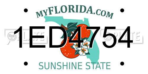 1ED4754 Florida License Plate