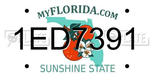 1ED7391 Florida License Plate