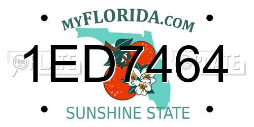1ED7464 Florida License Plate