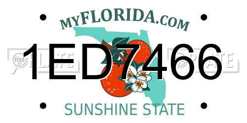 1ED7466 Florida License Plate