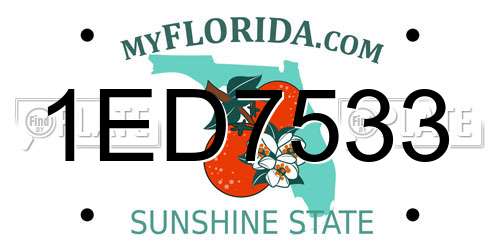 1ED7533 Florida License Plate