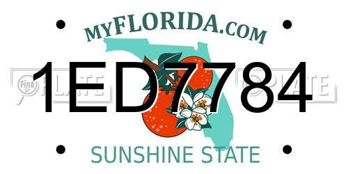 1ED7784 Florida License Plate