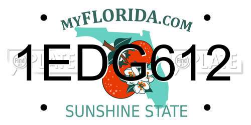 1EDG612 Florida License Plate