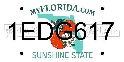 1EDG617 Florida License Plate