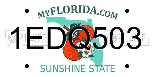 1EDQ503 Florida License Plate