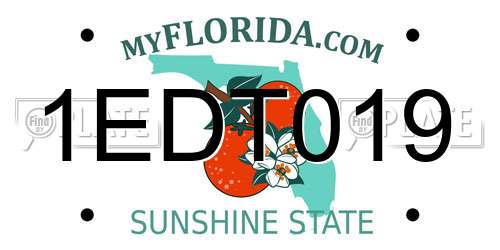 1EDT019 Florida License Plate