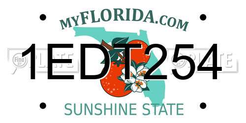 1EDT254 Florida License Plate
