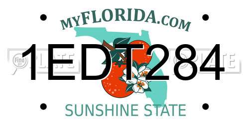 1EDT284 Florida License Plate