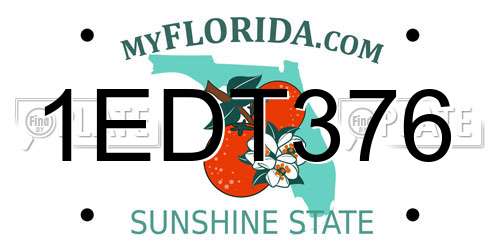 1EDT376 Florida License Plate