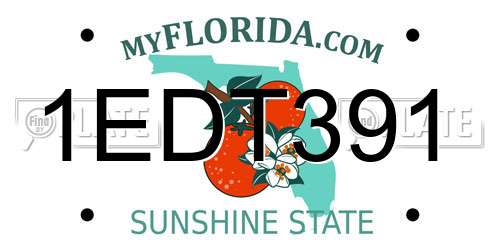 1EDT391 Florida License Plate