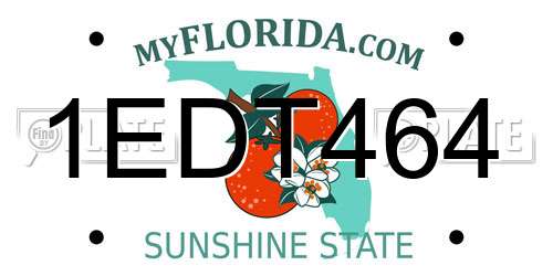 1EDT464 Florida License Plate