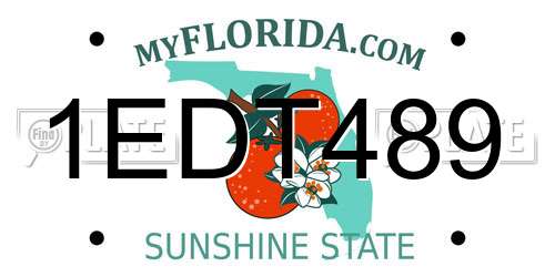 1EDT489 Florida License Plate