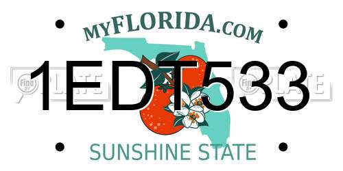 1EDT533 Florida License Plate
