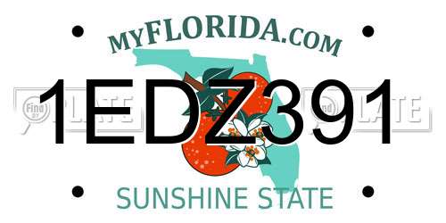 1EDZ391 Florida License Plate
