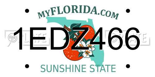 1EDZ466 Florida License Plate