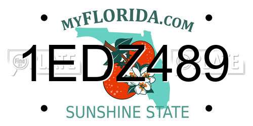 1EDZ489 Florida License Plate