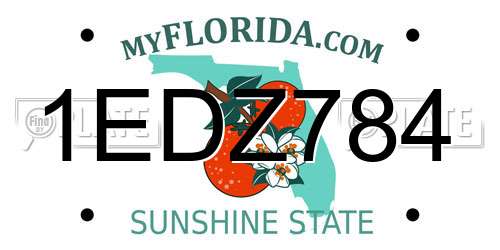 1EDZ784 Florida License Plate