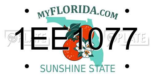 1EE1077 Florida License Plate