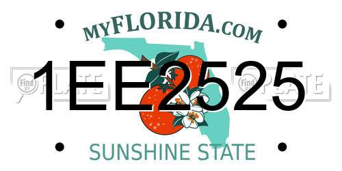 1EE2525 Florida License Plate