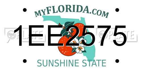 1EE2575 Florida License Plate