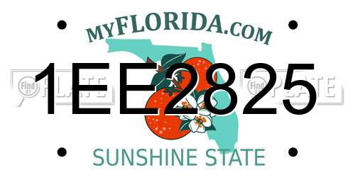 1EE2825 Florida License Plate