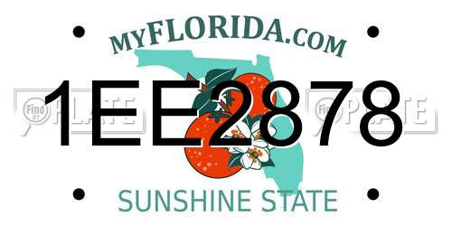 1EE2878 Florida License Plate