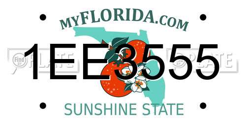 1EE3555 Florida License Plate