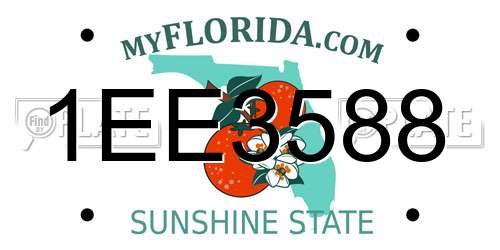 1EE3588 Florida License Plate