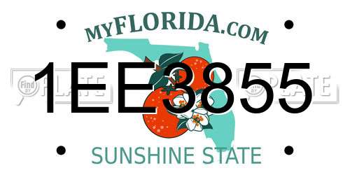 1EE3855 Florida License Plate
