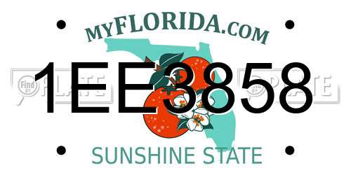 1EE3858 Florida License Plate