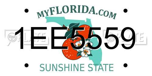 1EE5559 Florida License Plate
