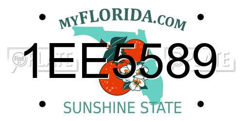 1EE5589 Florida License Plate