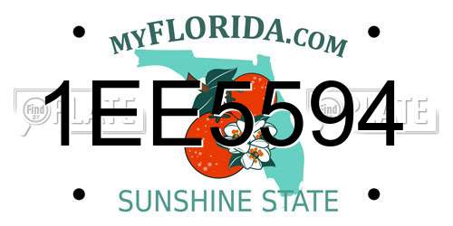 1EE5594 Florida License Plate
