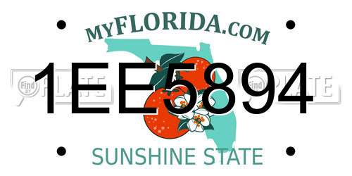 1EE5894 Florida License Plate