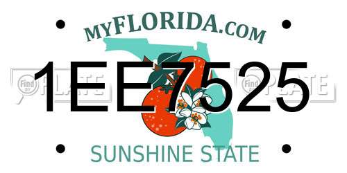 1EE7525 Florida License Plate