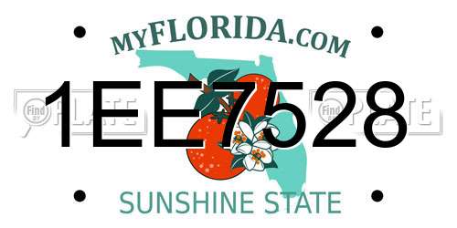 1EE7528 Florida License Plate