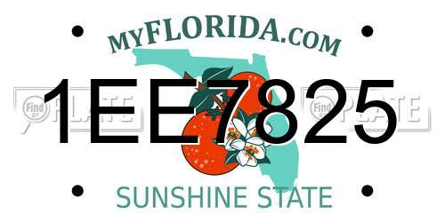 1EE7825 Florida License Plate