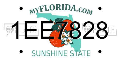 1EE7828 Florida License Plate