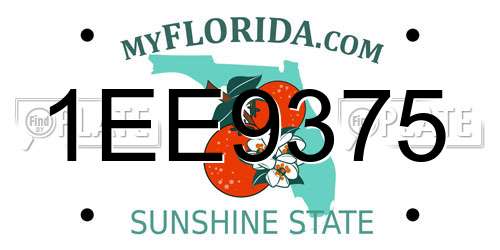 1EE9375 Florida License Plate