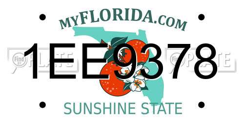 1EE9378 Florida License Plate
