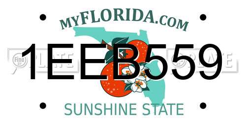 1EEB559 Florida License Plate