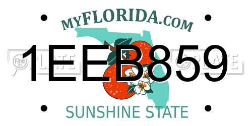 1EEB859 Florida License Plate