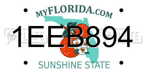 1EEB894 Florida License Plate