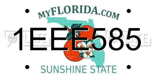 1EEE585 Florida License Plate